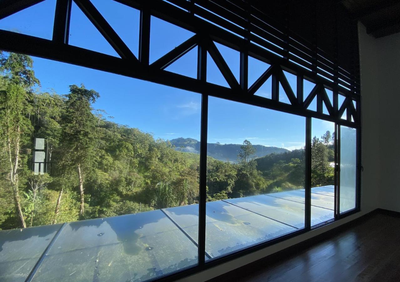 Arte De Plumas Birding Lodge Cartago Kültér fotó