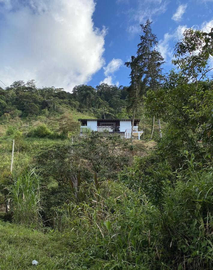 Arte De Plumas Birding Lodge Cartago Kültér fotó