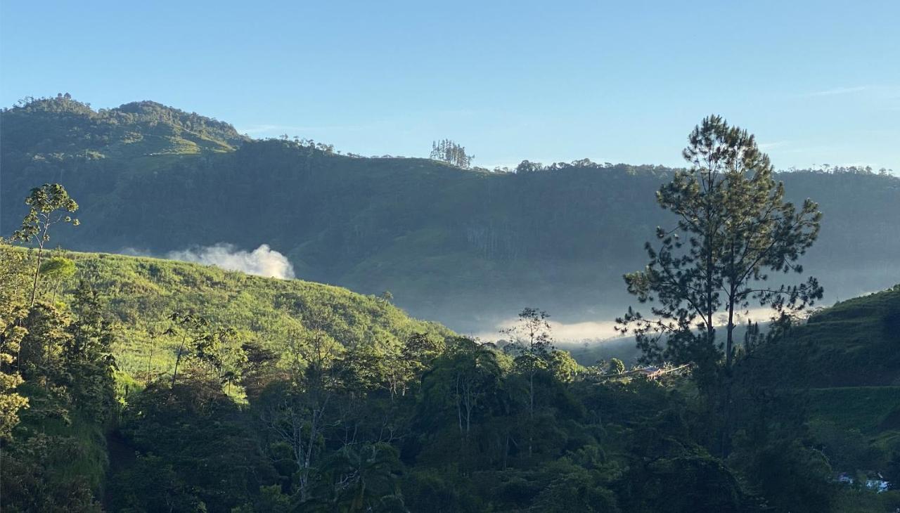 Arte De Plumas Birding Lodge Cartago Kültér fotó