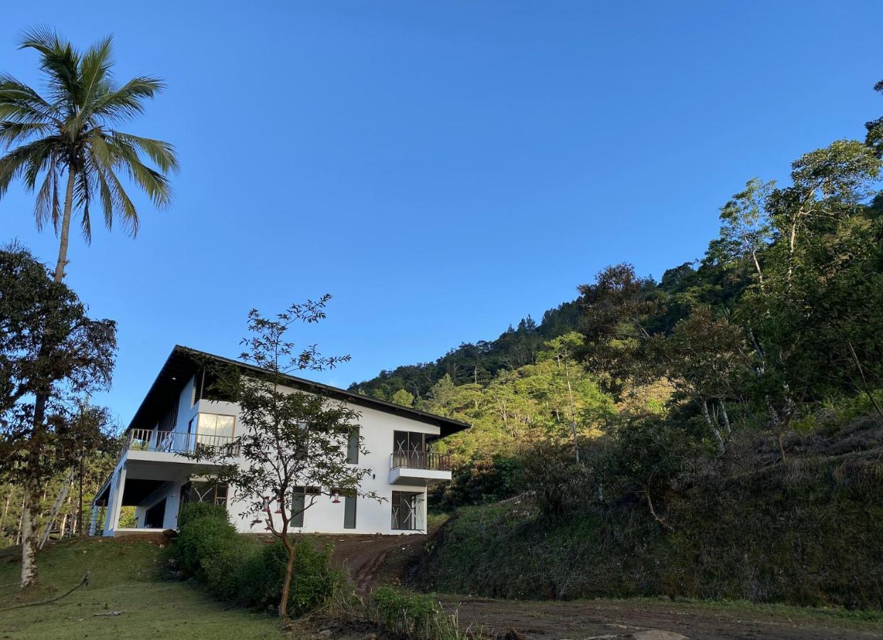 Arte De Plumas Birding Lodge Cartago Kültér fotó