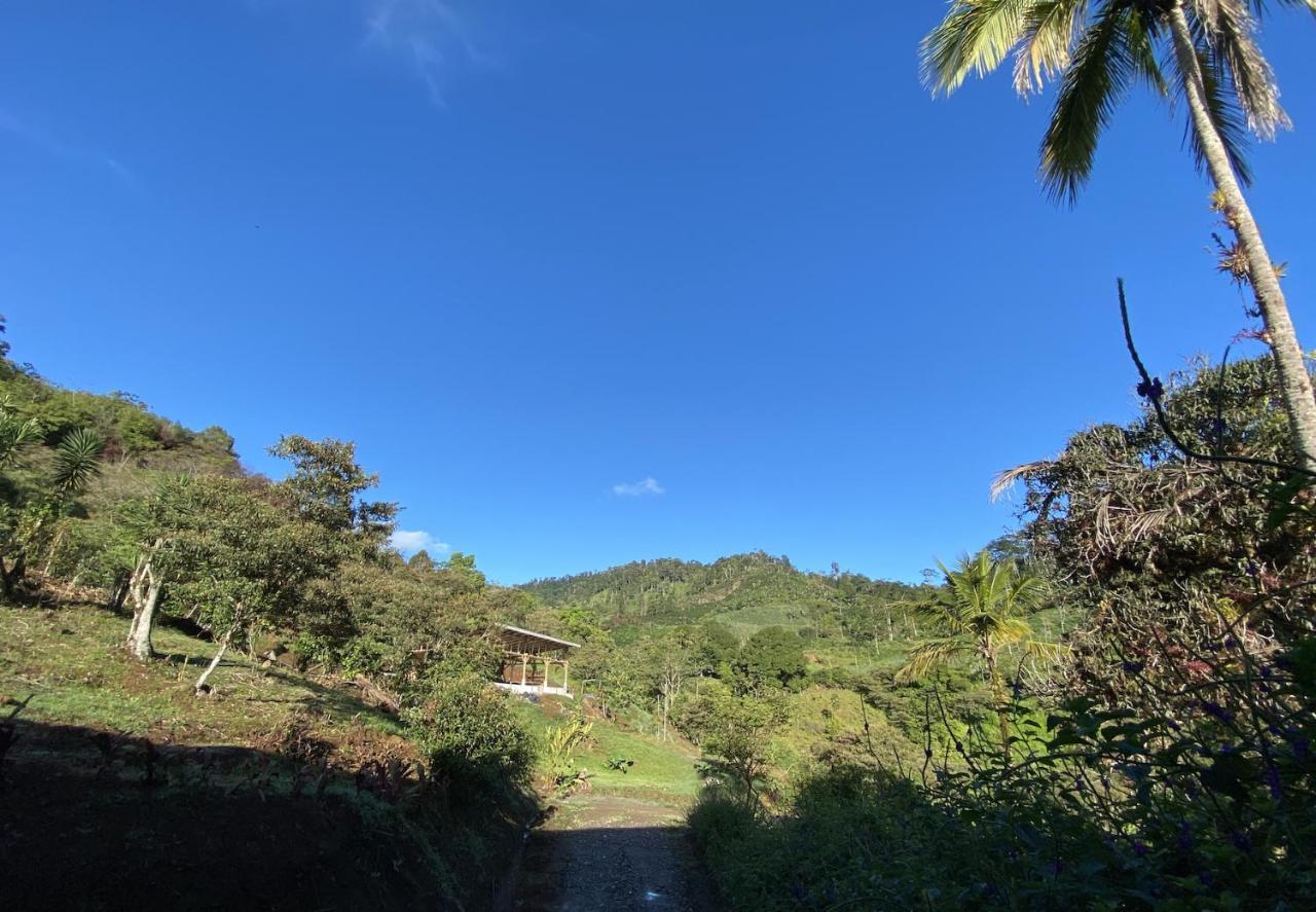 Arte De Plumas Birding Lodge Cartago Kültér fotó