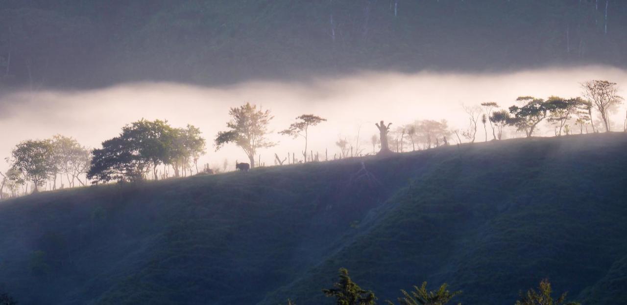 Arte De Plumas Birding Lodge Cartago Kültér fotó