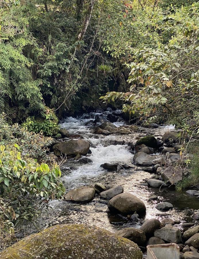 Arte De Plumas Birding Lodge Cartago Kültér fotó