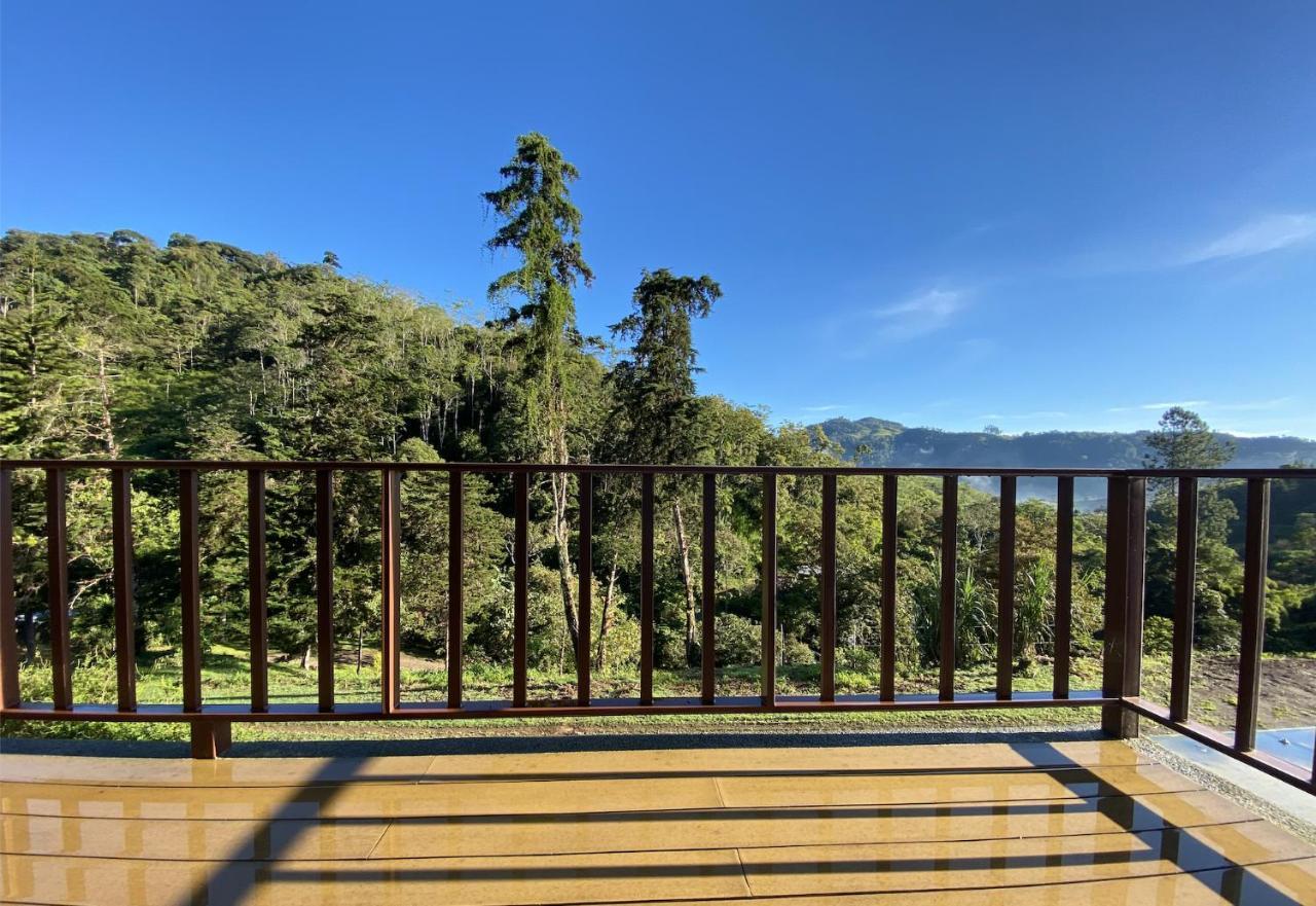 Arte De Plumas Birding Lodge Cartago Kültér fotó