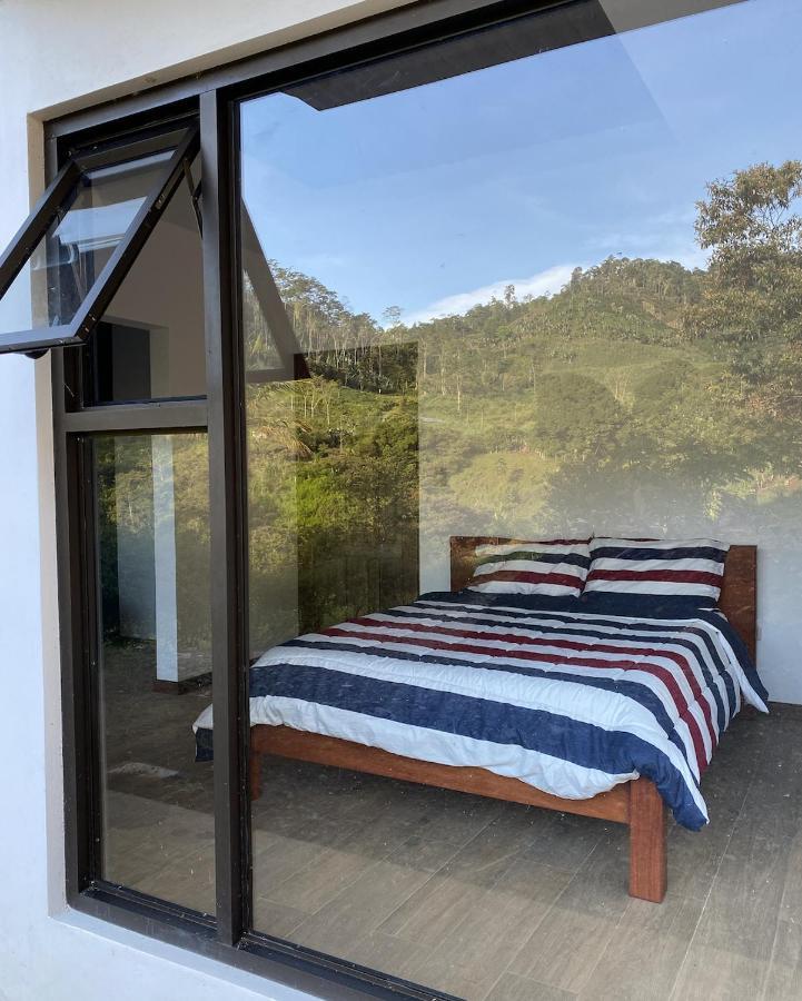 Arte De Plumas Birding Lodge Cartago Kültér fotó