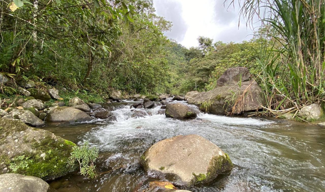 Arte De Plumas Birding Lodge Cartago Kültér fotó